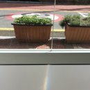 대리3길 이미지