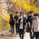 팔렬중학교 이미지