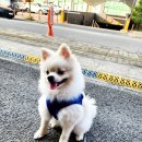 아빠세차장 이미지