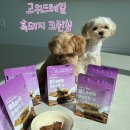 고위드테일 이미지