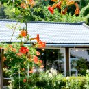 추학2리경로당 이미지