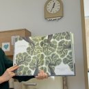 나무그림 | [그림책테라피 후기] 나무에게 배웁니다