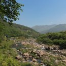 국도19호선 이미지