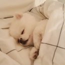 타이어월드뱅크 이미지