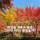 지에스25 방화한숲 | 2025 화담숲 모노레일 취소표 줍줍! 지각으로 알게 된 주차장 꿀팁 &amp; 번지 없는 주막 후기