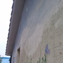 동광리-13 이미지