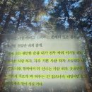 희망을 싹틔우는 자연이야기 | 우리의 낙원에서 만나자 책 후기 하태완 | 수고한 당신 여기가 낙원이다 (추천 리뷰 핵심 요약)