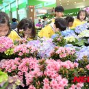 꽃향기 - 포항시 북구 양학로 70-22 | 꽃향기