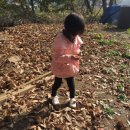 결성농장 이미지