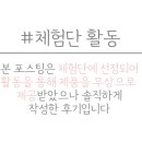 퍼피케어 이미지