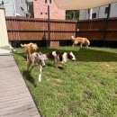 플러스하트 이미지