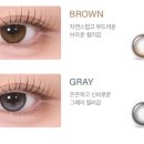 세종디자인라이트 네이버블로그