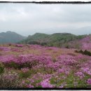 산장민박 이미지