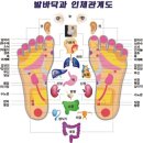 포항 중국 전통 마사지의 진수, &#34;초곡그린마사지&#34; 방문 후기​