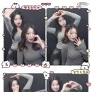 파랑새39