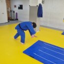 성남 중앙 유도체육관 이미지