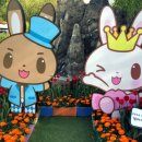 자유랜드 이미지