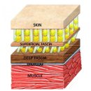 하이엔드 피트니스 이미지