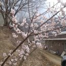 가송민박 이미지