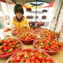 임동빈농장 이미지