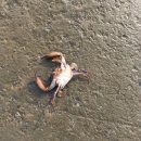 영목수산좌대 이미지