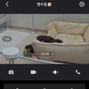 마백반분식 옆 | 아기맹수 육아일기🍼