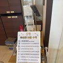 홀릭캣 | 루이캣 경주점 고양이 홀릭 5세 아들과 주말 경주 나들이 순한 고양이들이 가득한 고양이 카페