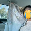 러브희 | 10개월 아기랑 제주 한달살이 ①편 :: 시작이 반이다...! (아기랑 김해에서 제주/한경면 숙소/뚱보...