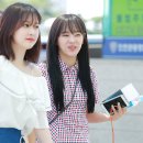 세정