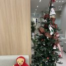 서울신경외과의원 이미지