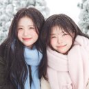 설아언니