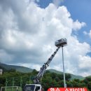 고고써치