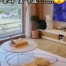 친절한순필씨 이미지