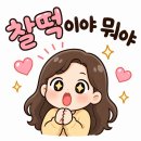 한평솔루션 | [공지] 먼지제로! 아메리칸솔루션 카사바 고양이모래 가성비 있게 사용한 후기