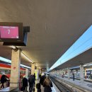 경기장여관 | Day 19 ㅣ 피렌체에서 로마로 (Feat. 콜로세움 &amp; 포로 로마노)