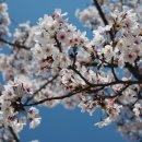 탑 카워시 이미지