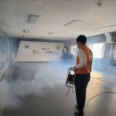 태비(태권도장) 이미지