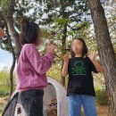 갯골생태공원 | 갯골 생태공원 봄 피크닉 후기 – 벚꽃이 지고 난 뒤 더 좋았던 하루