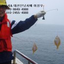 속초문어왕