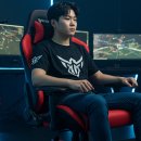 🎮 게이밍 의자 커버 총정리 – 구입, 관리, 할인, 추천까지 올인원 가이드! 💺🧼