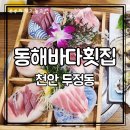 세븐일레븐 동해이편한점 | 천안 두정동 횟집 동해바다횟집 두정점｜사시미·참다랑어 코스 솔직후기 (회식·룸·주차 정리)