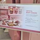 상봉사슴목장 | 아들 유럽여행 다녀와서 영종도 파라다이스 시티 리조트 방문후기