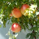 거창대성고등학교 이미지