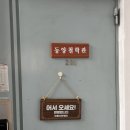 사직2동 주민센터 | 부산철학관 동양철학관 부산작명소 솔직 방문 후기, 사주로 보는 현실 조언!