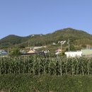 백야경로당 이미지