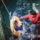 여수해양경찰서(녹동파출소)