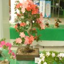 조이플라자 이미지