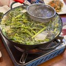 수정수진1-D-1 이미지