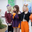 용인실내체육관 이미지