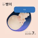 [임신 39주] 출산 전 3일 간의 진통, 무섭고 말고 생각할 겨를이 없는 자연분만 후기